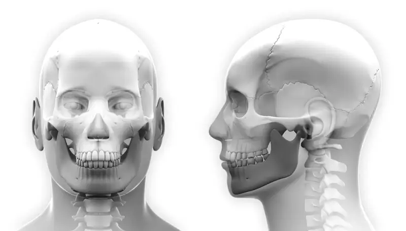 Anatomia czaszki z przodu i z profilu, kluczowa dla terapii twarzowo czaszkowej.